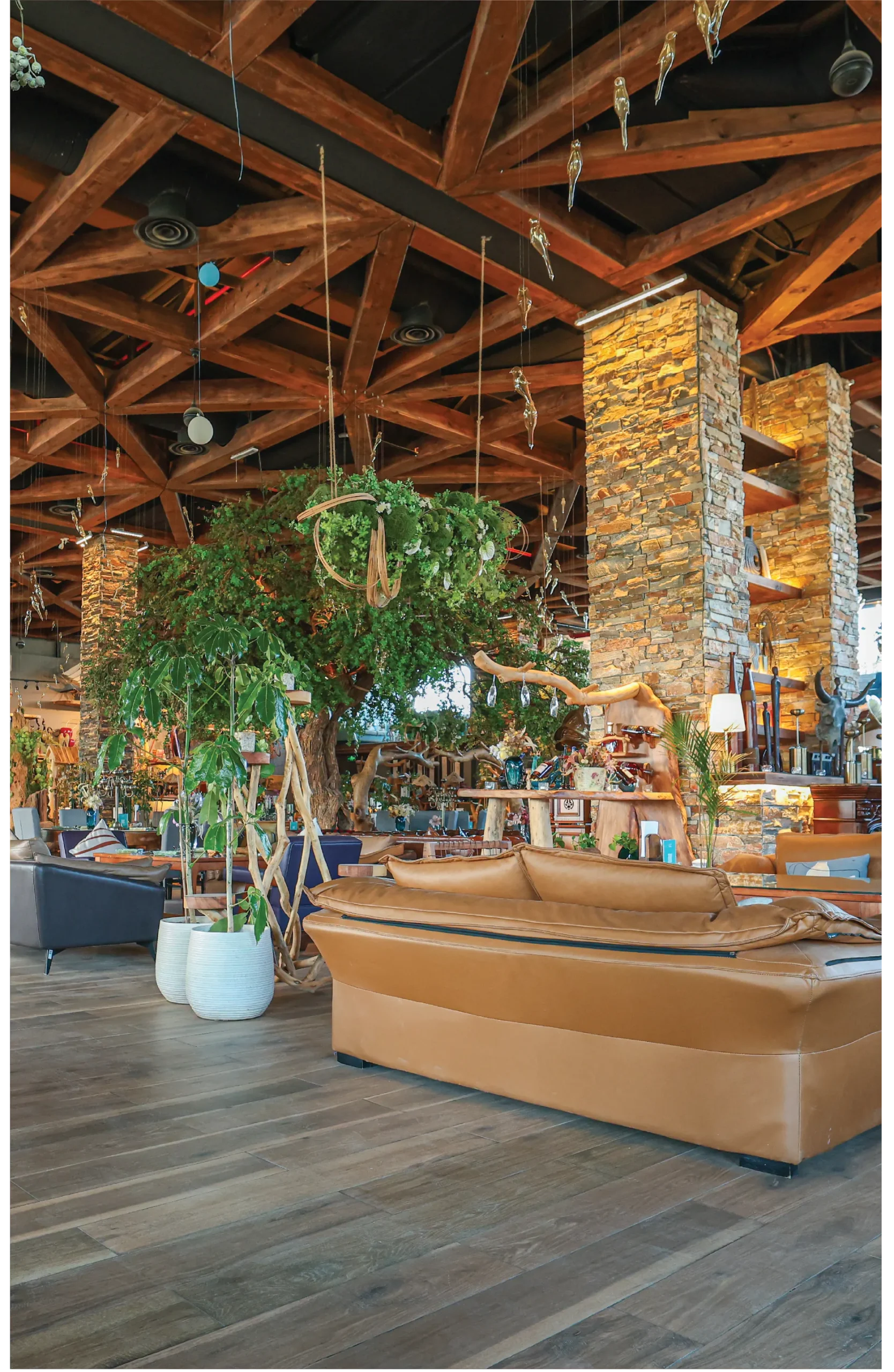 فرع افندار البلدة القديمة2_result